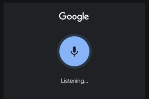 Google App Ter Apenas O Google Assistente Newvoice